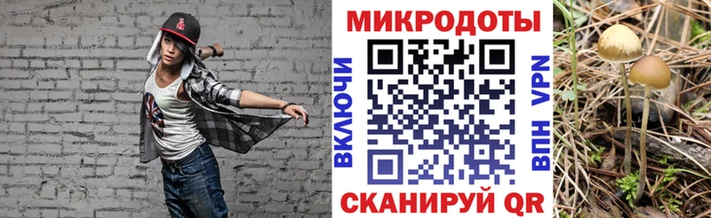 Галлюциногенные грибы ЛСД  Лабинск 